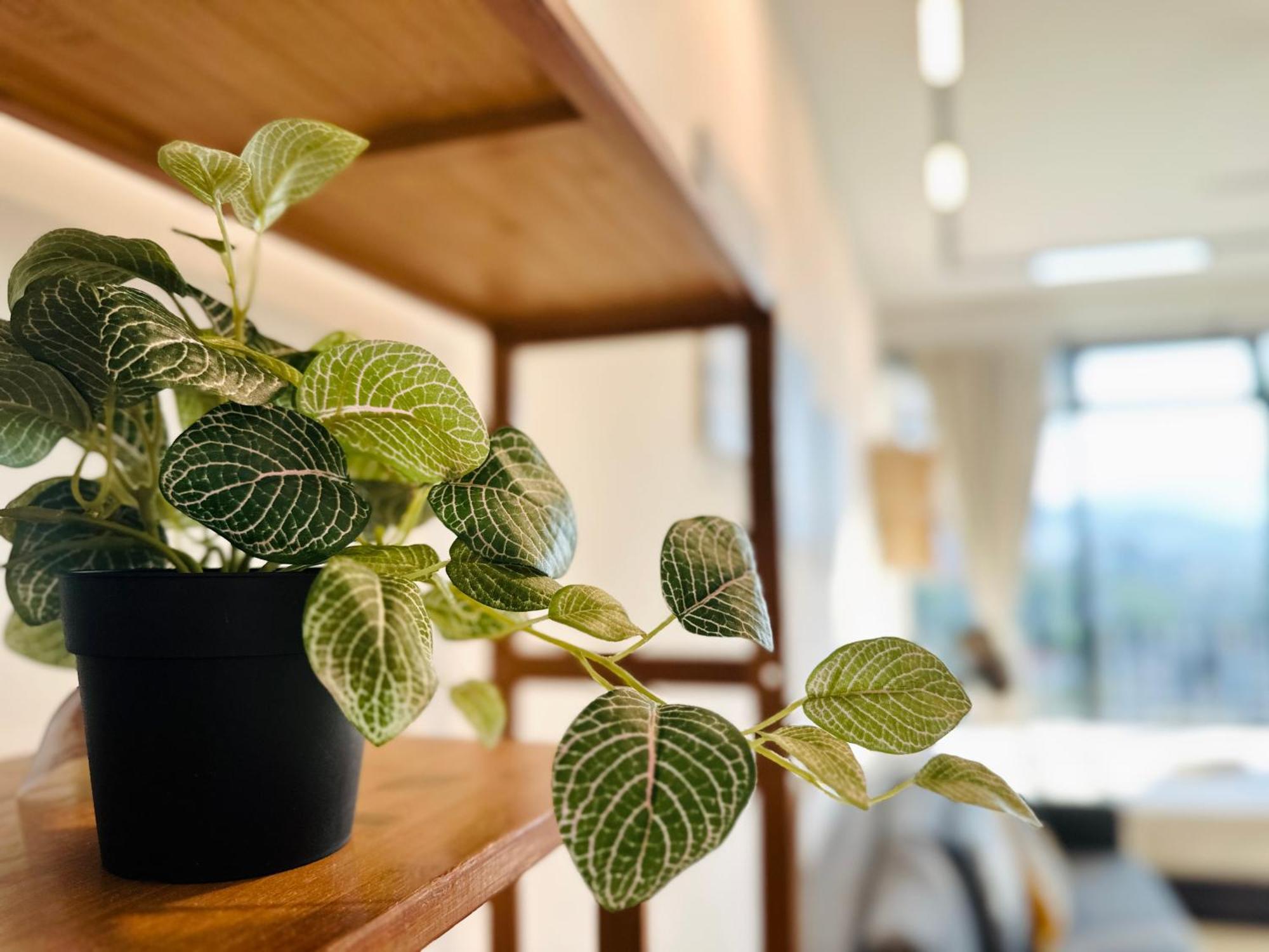New Instagramable 2br For 10pax 无敌美景两房民宿 Beacon Executive Apartment George Town